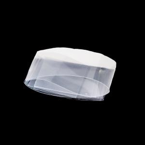 Mylar Film